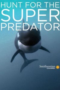 The Search for the Ocean’s Super Predator