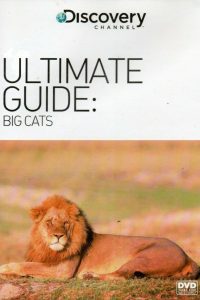 The Ultimate Guide: Big Cats