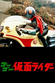 Go Go Kamen Rider