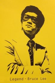 The Brilliant Life of Bruce Lee