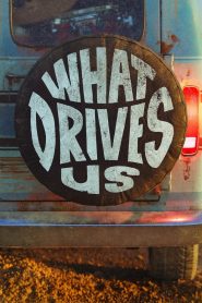 What Drives Us