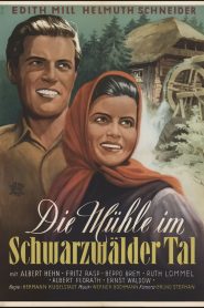 Die Mühle im Schwarzwäldertal